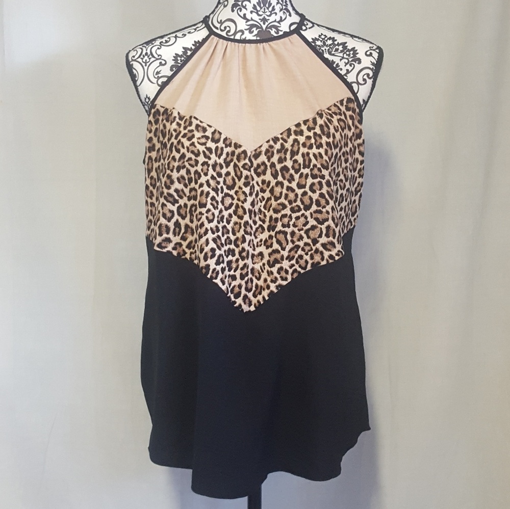 Hailey & Co Top Large